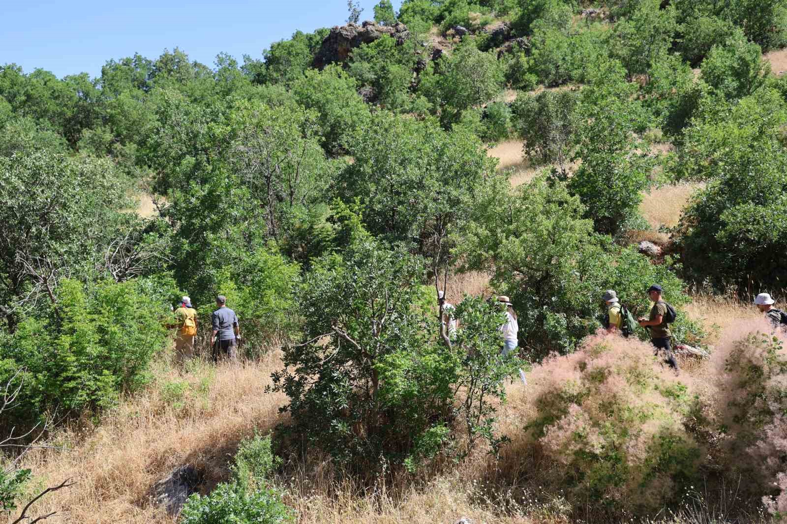 kokartli rehberler 541 kilometrelik kral yolu rotasini gezdi 3 wnq8RyBb