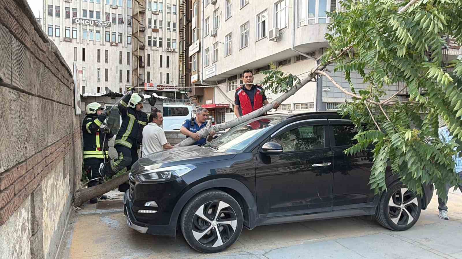Kökü duvarın altında olan ağaç aracın üzerine devrildi 5 koku duvarin altinda olan agac aracin uzerine devrildi 1 nfd229us