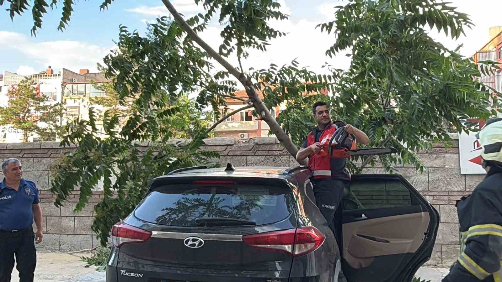 Kökü duvarın altında olan ağaç aracın üzerine devrildi 6 koku duvarin altinda olan agac aracin uzerine devrildi 2 K3iThy7g