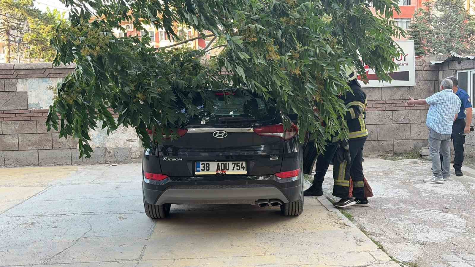 Kökü duvarın altında olan ağaç aracın üzerine devrildi 8 koku duvarin altinda olan agac aracin uzerine devrildi 4