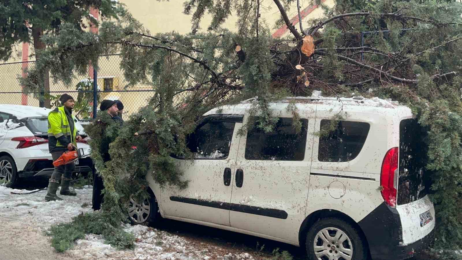 kokunden sokulen agac park halindeki aracin uzerine devrildi 0