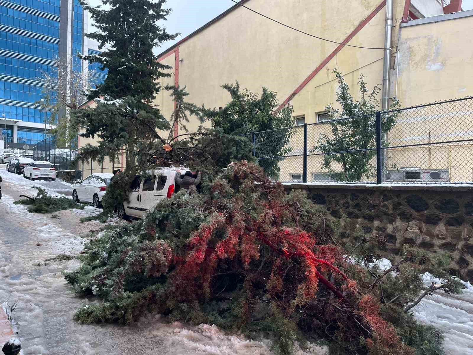 kokunden sokulen agac park halindeki aracin uzerine devrildi 1 VkAq9rRD