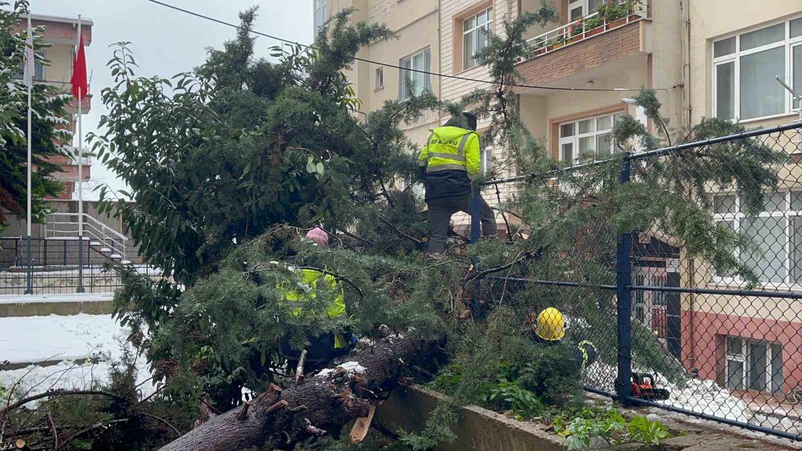 kokunden sokulen agac park halindeki aracin uzerine devrildi 2 2nTZVlyB