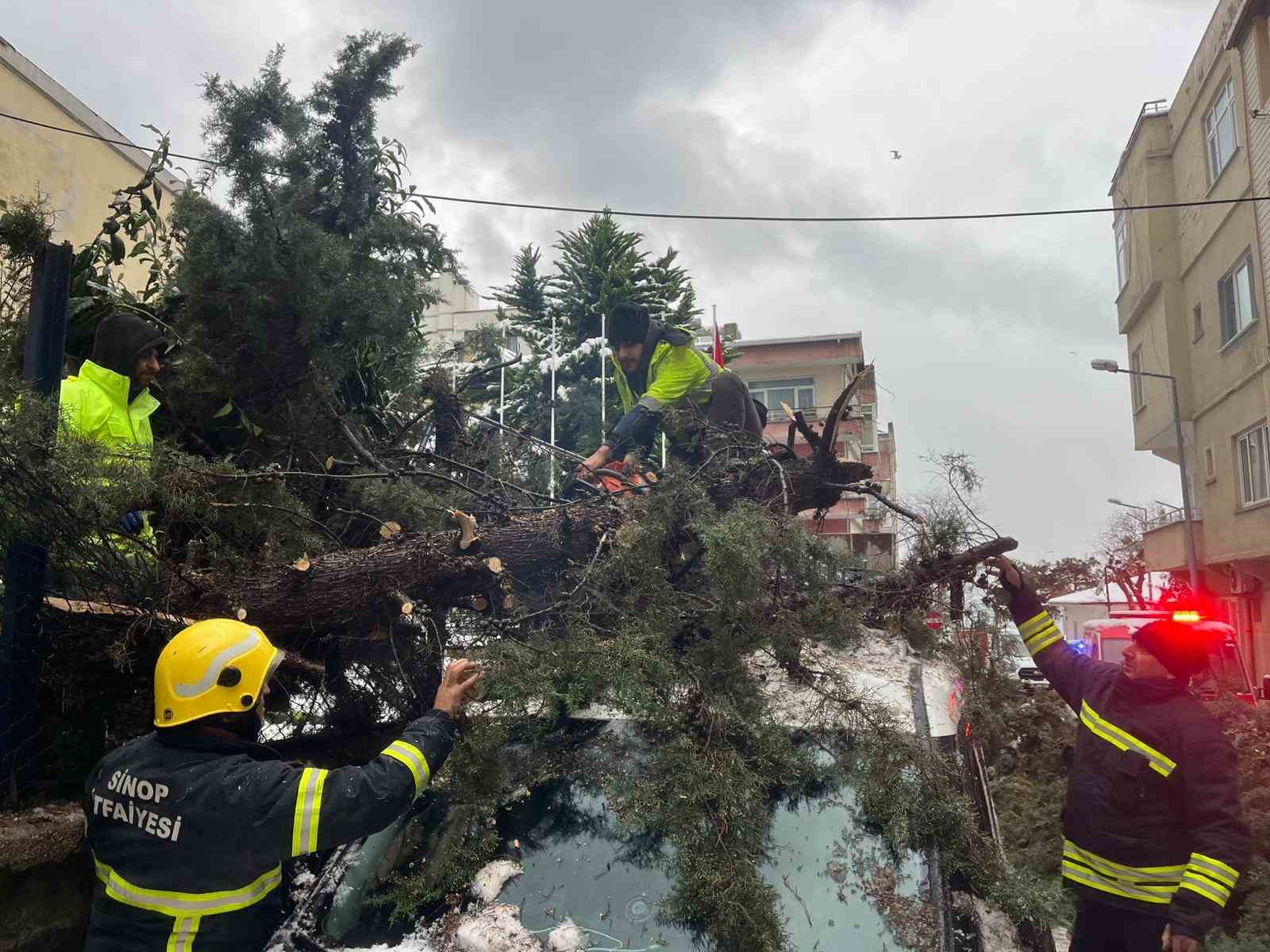 kokunden sokulen agac park halindeki aracin uzerine devrildi 3 9t8cAFlF