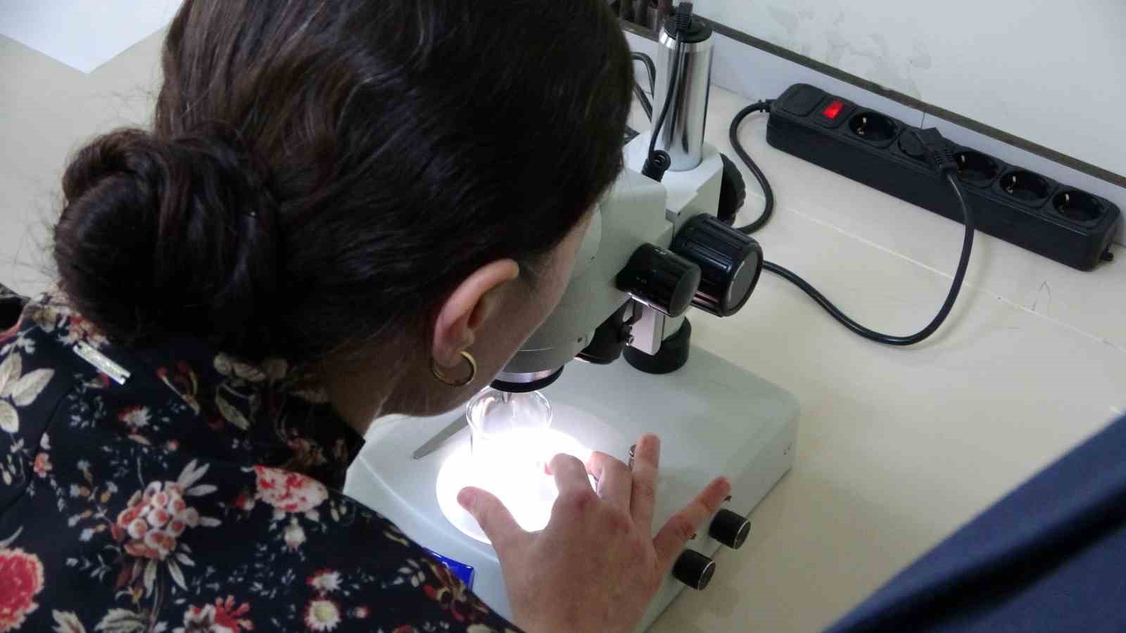 kolorektal kanser tedavisi icin yeni umut 0 rAewOsiY