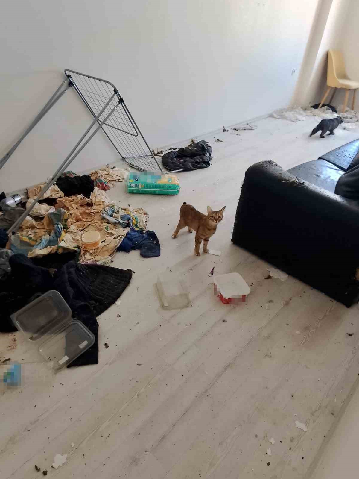 komsulari tasinmak zorunda birakan koku ihbarinda soke eden manzara 0 YOKw4eTl