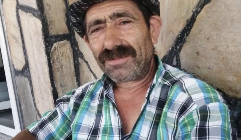 komsusuna-agac-kesiminde-yardim-ederken-hayatini-kaybetti-2QWxuQAg.jpg
