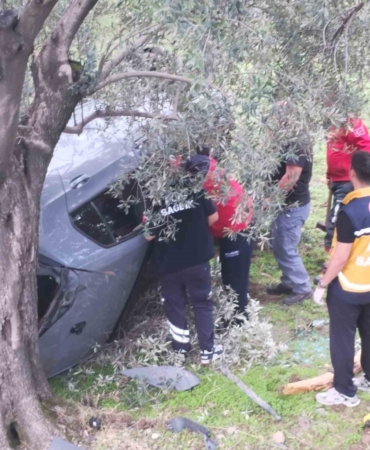 kontrolu-kaybetti-zeytin-bahcesine-uctu-2-yarali-TtgX3zqO.jpg