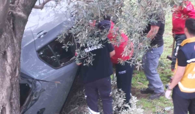 kontrolu-kaybetti-zeytin-bahcesine-uctu-2-yarali-TtgX3zqO.jpg