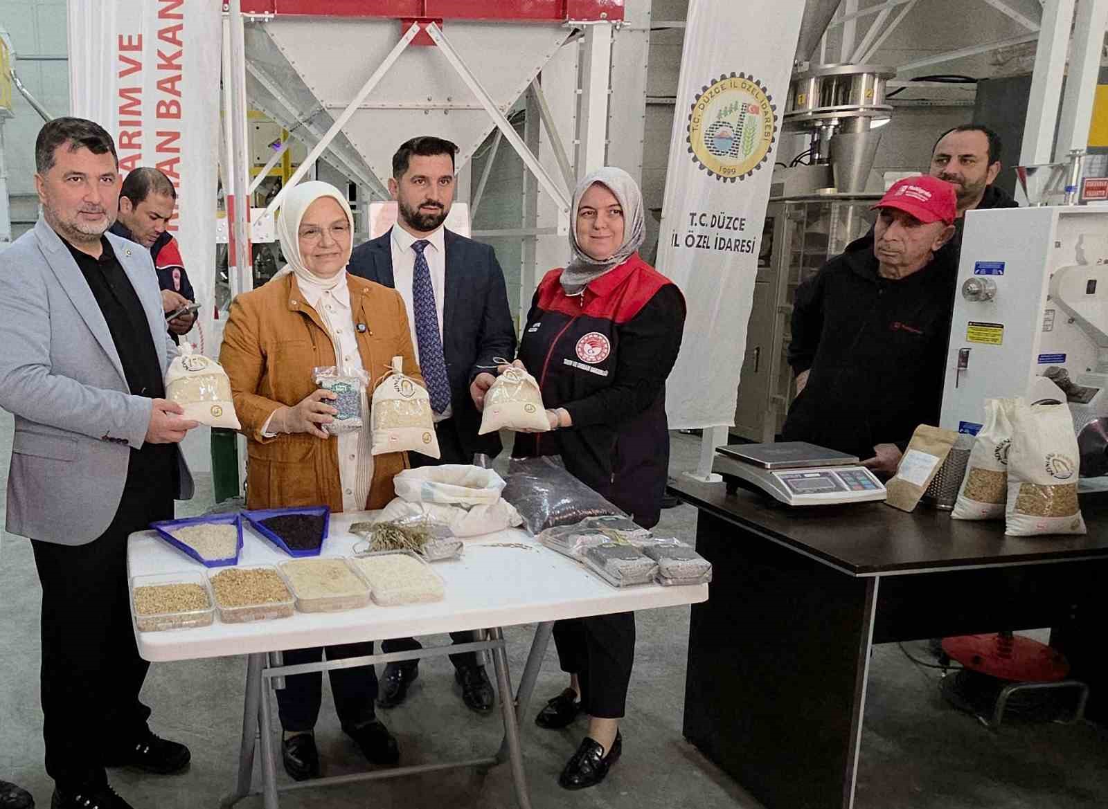 konuralp pirincinde damlama sulama bereketi 4 dNNvhYNf