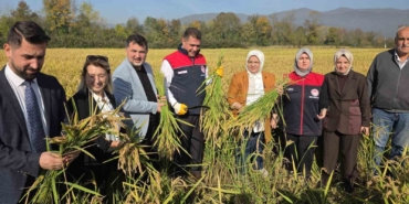 konuralp-pirincinde-damlama-sulama-bereketi-kLxlnDFW.jpg