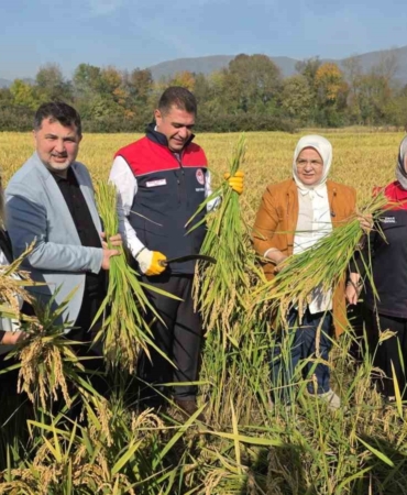 konuralp-pirincinde-damlama-sulama-bereketi-kLxlnDFW.jpg