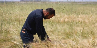 konya-ovasinda-bugday-rekoltesinde-beklenti-2-milyon-200-bin-ton-JLBeMedj.jpg