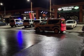 Malatya’da orman yangını 3 thumbnail