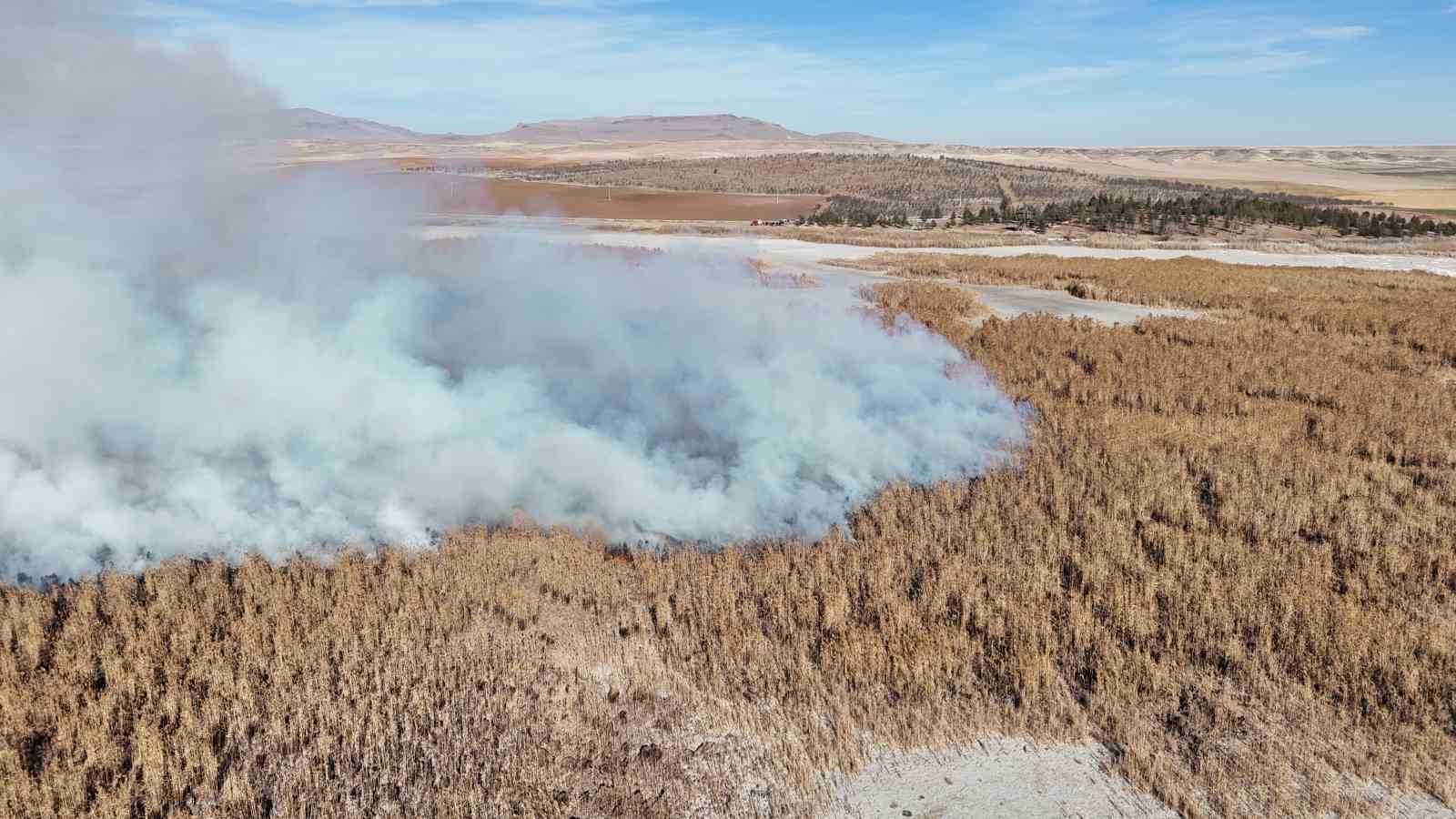 konyada sazlik alanda yangini 1 rMkAIqKW