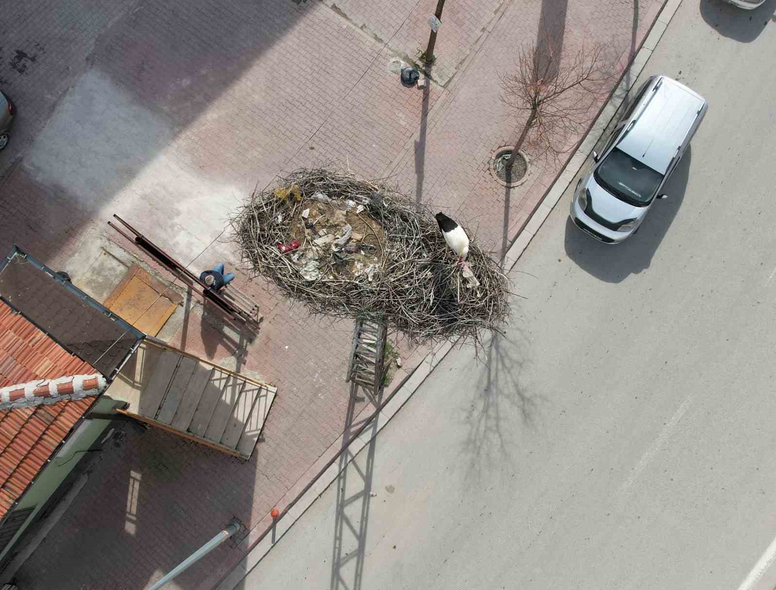konyanin leylekleri direkteki yuvalarina geldi 5 cl5MOn3r