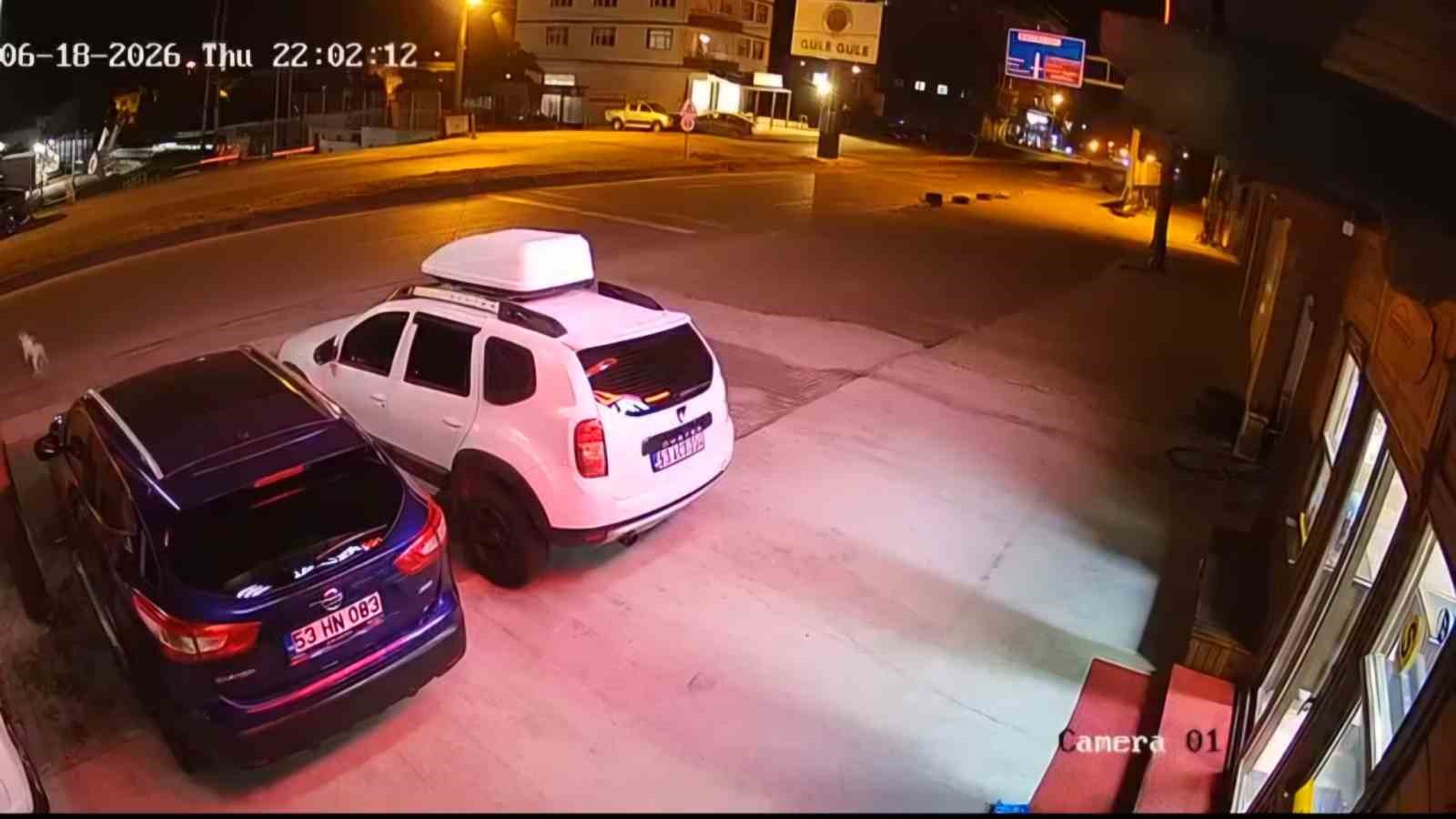 kopege carpmamak icin yaptigi manevra hayatina mal oldu 0 P3arlENK