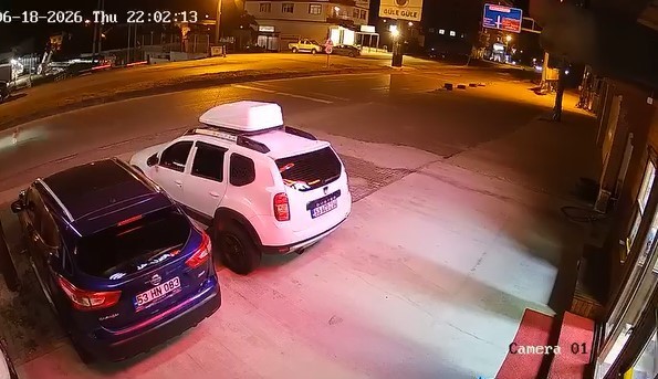 kopege carpmamak icin yaptigi manevra hayatina mal oldu 4