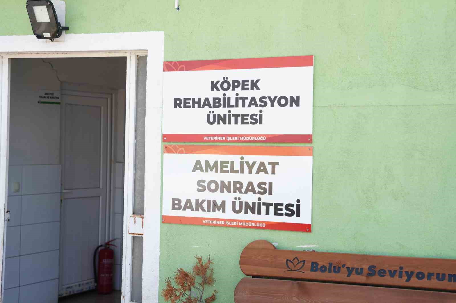 kopegi ezen surucu serbest birakildi 3 g4hAGkUa