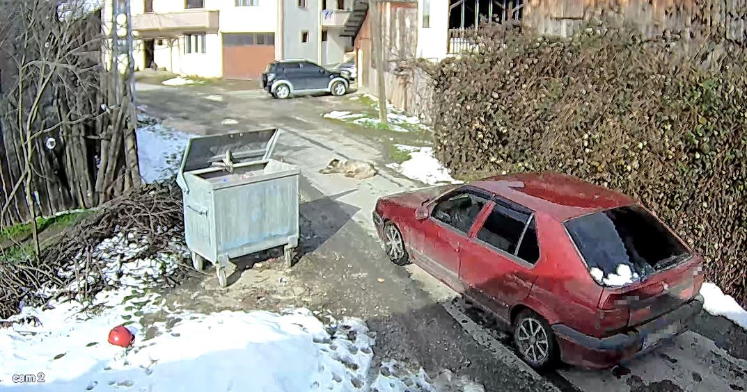 kopegi ezen surucu yakalandi 2 qKrfh9H9
