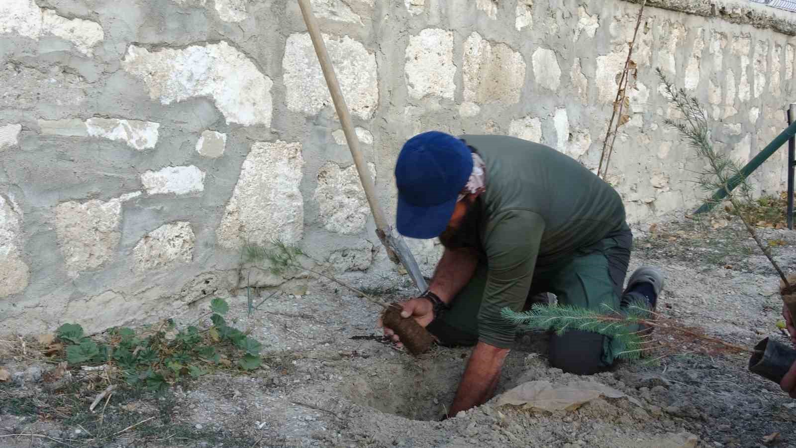 Köpeği ile birlikte tüm Türkiye’yi gezip fidan dikiyor 7 kopegi ile birlikte tum turkiyeyi gezip fidan dikiyor 3 knmNqtGS