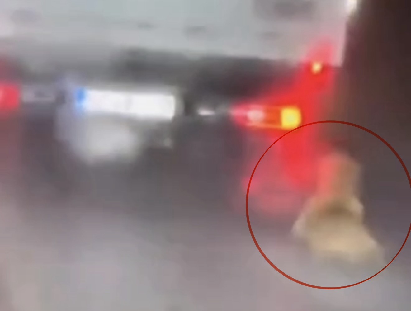kopegi kamyonetin arkasinda surukleyen sahis gozaltina alindi 1 egN4Rw5V