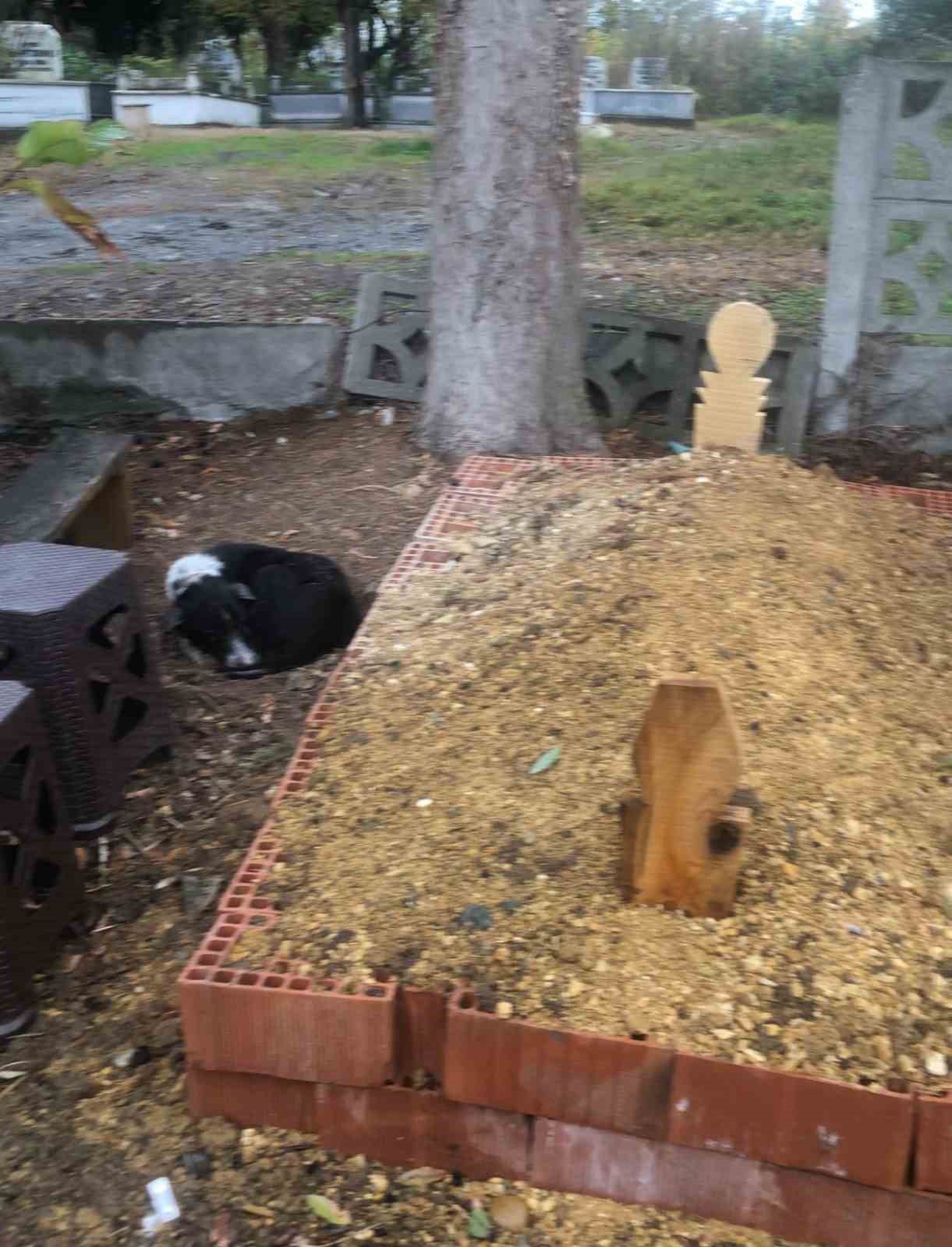 Köpeğin vefası: Sahibinin mezarından ayrılmayan köpek duygulandırdı 7 kopegin vefasi sahibinin mezarindan ayrilmayan kopek duygulandirdi 3 5QyP5KEe