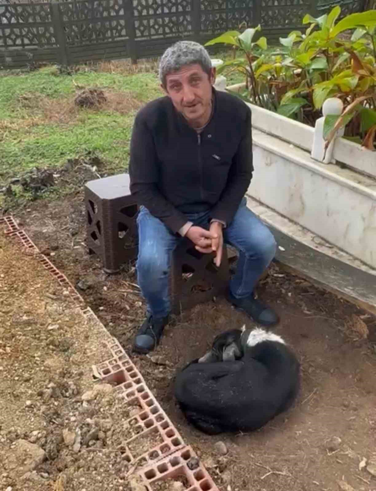 Köpeğin vefası: Sahibinin mezarından ayrılmayan köpek duygulandırdı 9 kopegin vefasi sahibinin mezarindan ayrilmayan kopek duygulandirdi 5 LCgjEnCD