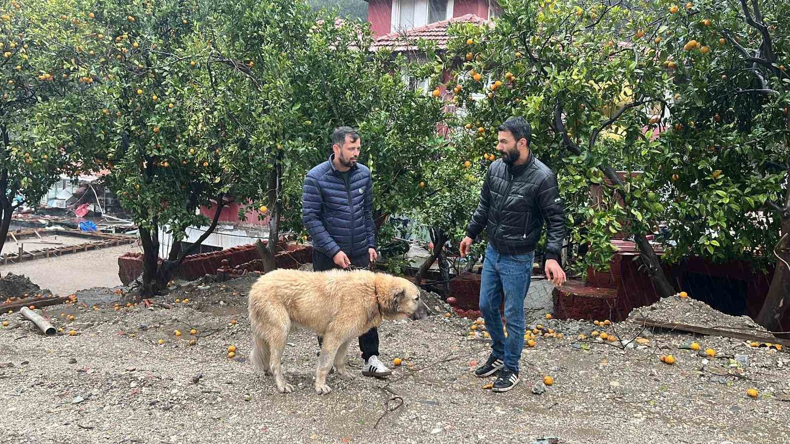 kopegini sel sularindan kurtaran sahibi o anlari anlatti 7 yeVLbt3c