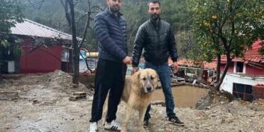 kopegini-sel-sularindan-kurtaran-sahibi-o-anlari-anlatti-hTcEVH3F.jpg
