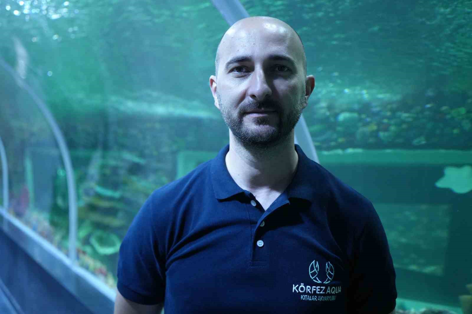 kopek baliklarini elleriyle besliyorlar 5 S2luASYK