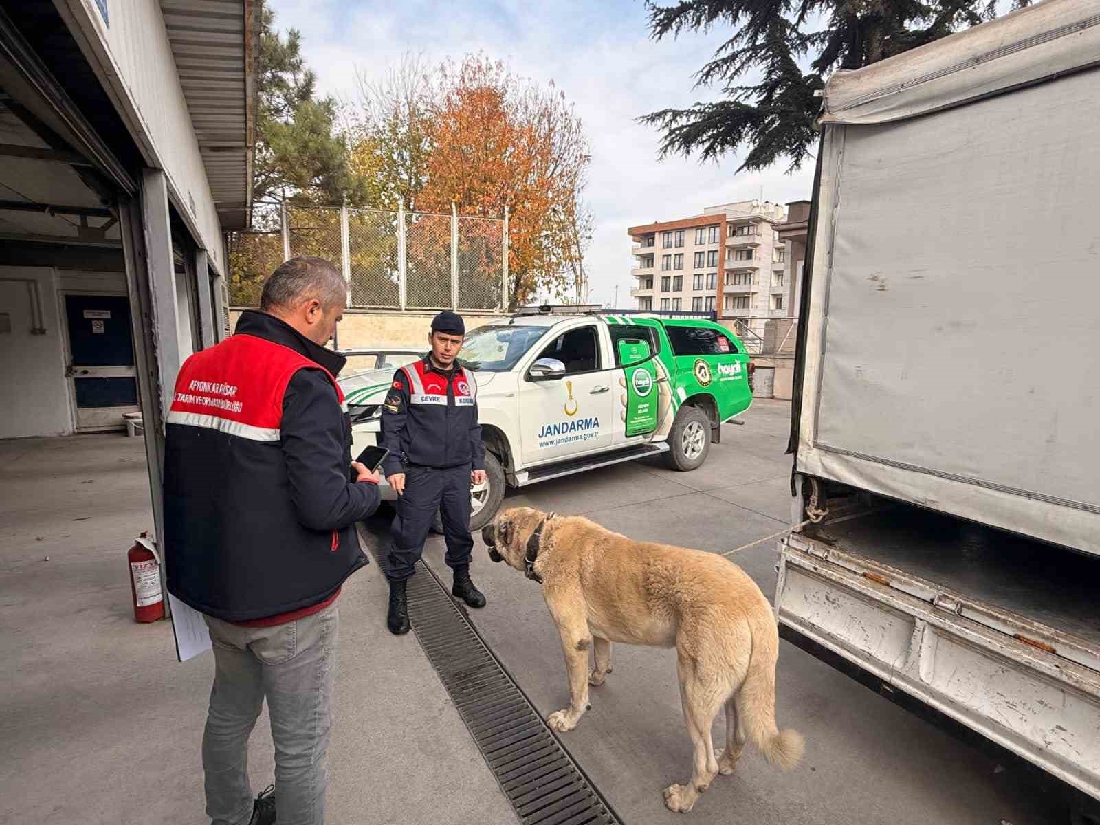 kopek dovusturen sahislara jandarma baskini12 gozalti 1 vLGUfRME