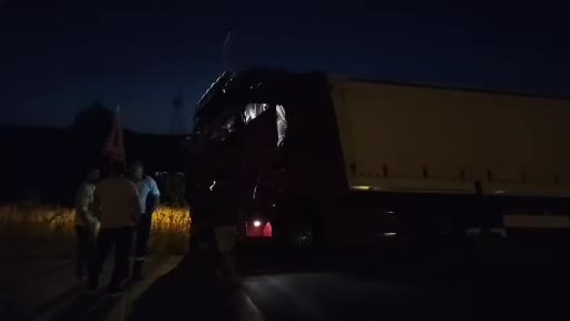 kopek-surusune-carpmamak-icin-manevra-yapan-tir-yoldan-cikti-1mJCFKxd.jpg