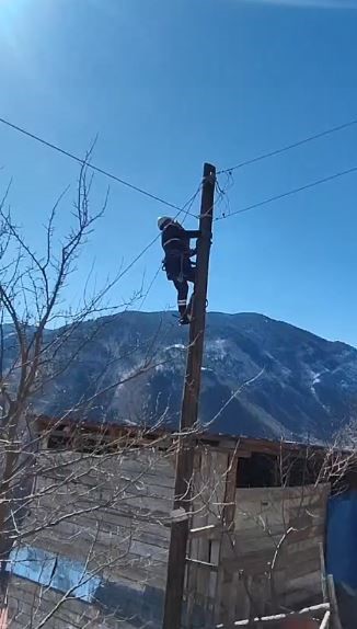 kopeklerden korkup elektrik diregine cikan kedi kurtarildi 1 19rKsDfP