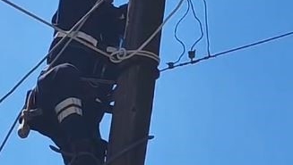 kopeklerden-korkup-elektrik-diregine-cikan-kedi-kurtarildi-xkw2zgYn.jpg