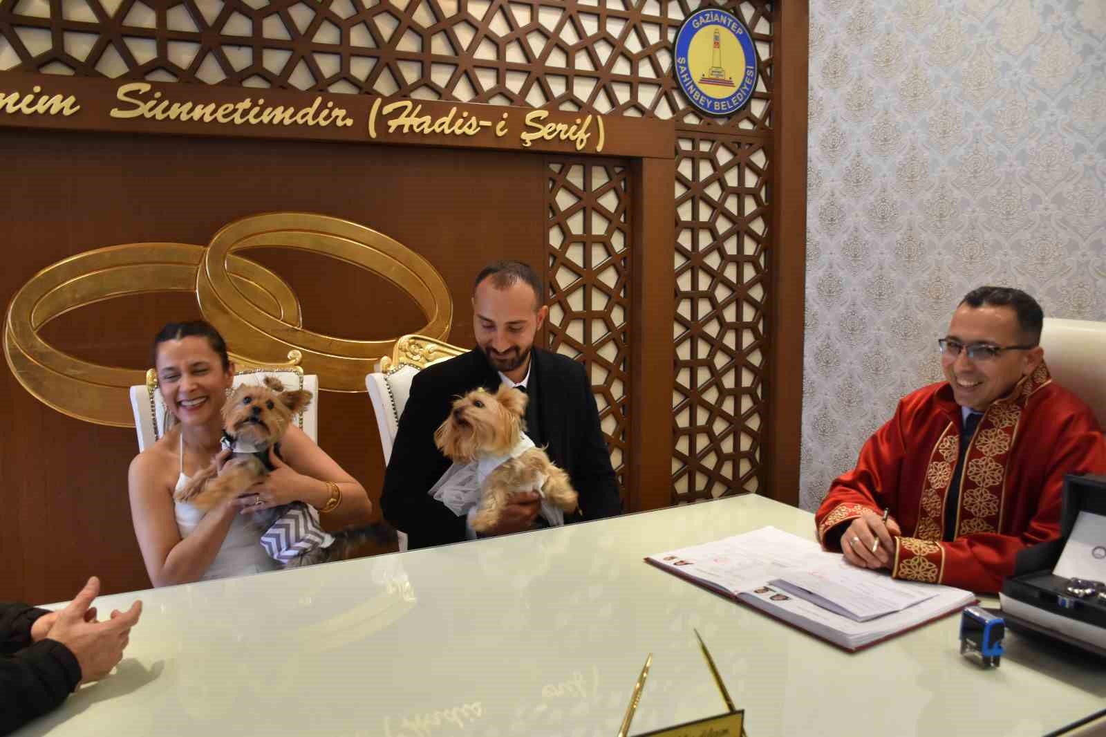 kopekleriyle birlikte mutluluga evet dediler 0 qOsBgMlF