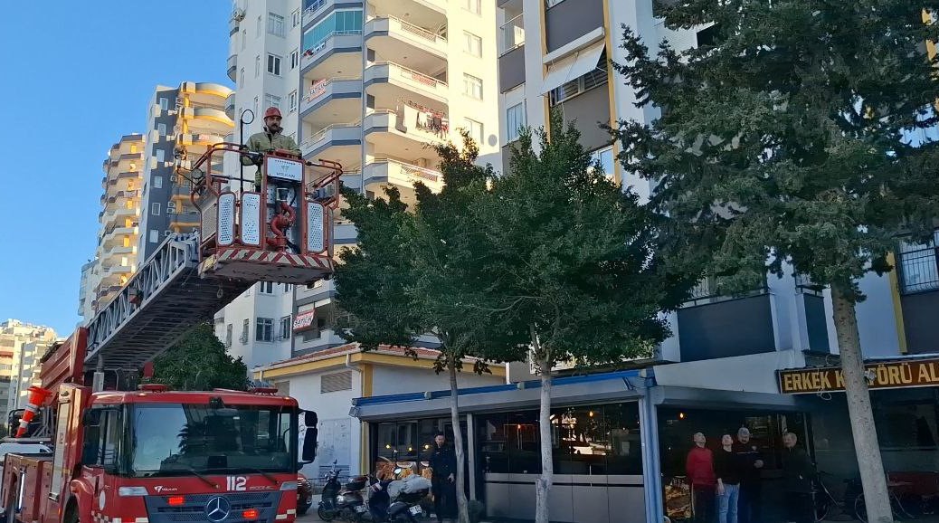 kopekten kacan kedi 3 gun agacta mahsur kaldi 2 VRSSwWhO
