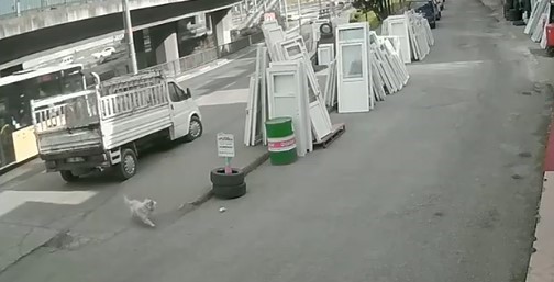 kopekten kacmaya calisan universite ogrencisine belediye otobusu carpti 2 mmdigHSz