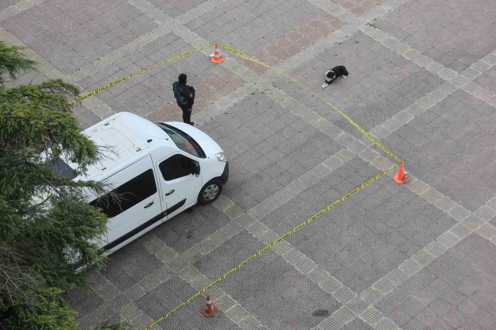 kopekten ornek davranis polis seridini ihlal etmedi 1 sLMeVHlA