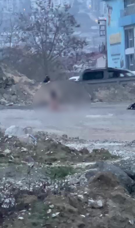 kopru altinda akillara durgunluk veren goruntuler 2 e8caRRDY
