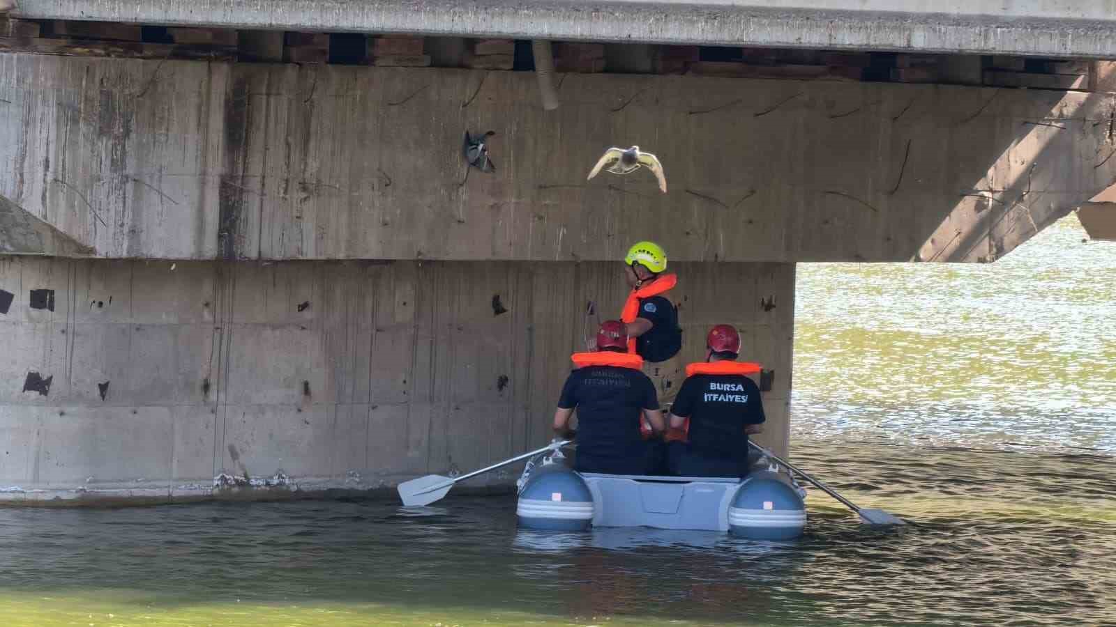 kopru altinda ipe takilan guvercini itfaiyeciler kurtardi 1 CfkKCFfz