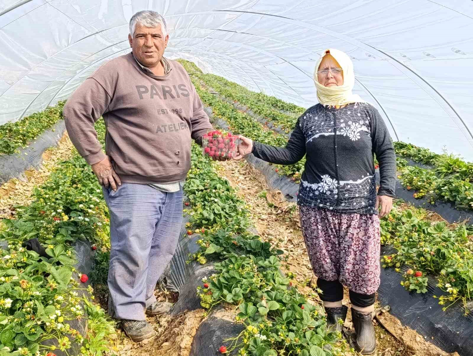 koprubasi cilegi altin sezonunu yasiyor 9 fzLeWBGk