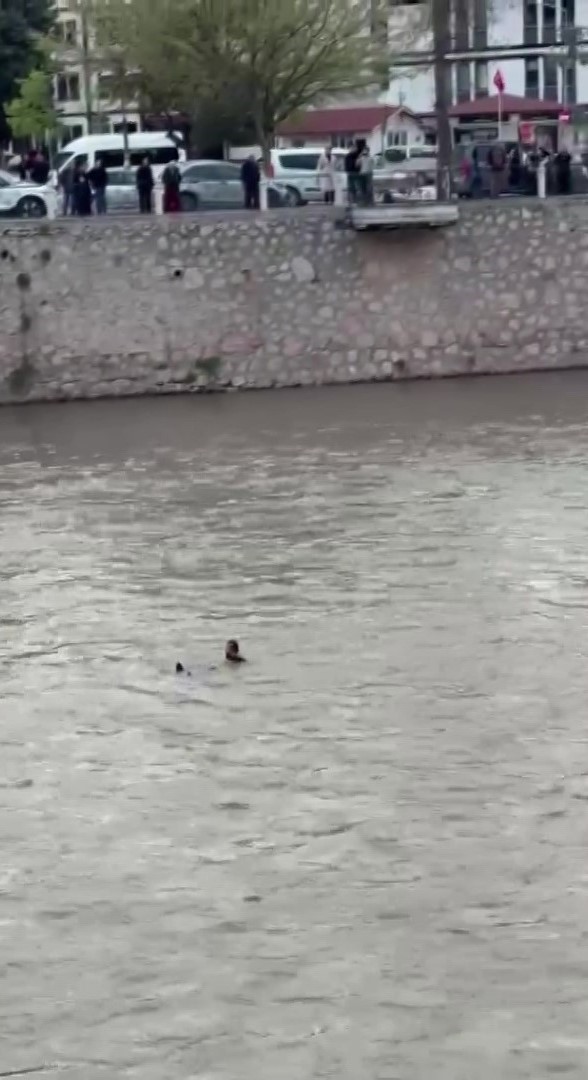 kopruden nehre atlayan sahsi ekipler kurtardi o anlar kamerada 1 OJ8E3wrk