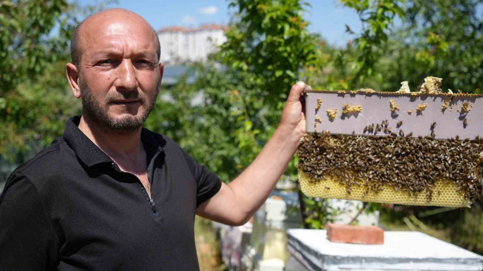 korkmadan temas edebildigi arilarla 5 senedir birlikte yasiyor 0 2SEEVwip