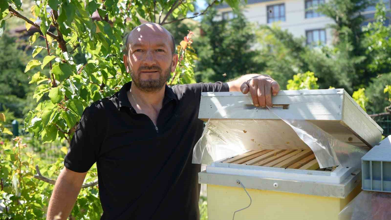 korkmadan temas edebildigi arilarla 5 senedir birlikte yasiyor 2 HIbpG2kc