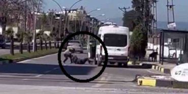 korku-dolu-anlar-kamerada-yere-yatirdigi-minibus-soforunu-defalarca-yumrukladi-EJqCiAWc.jpg