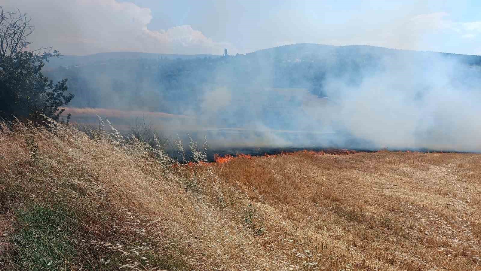 korkutan aniz yangini havadan ve karadan mudahaleyle kontrol altina alindi 1 IVaiKmAl