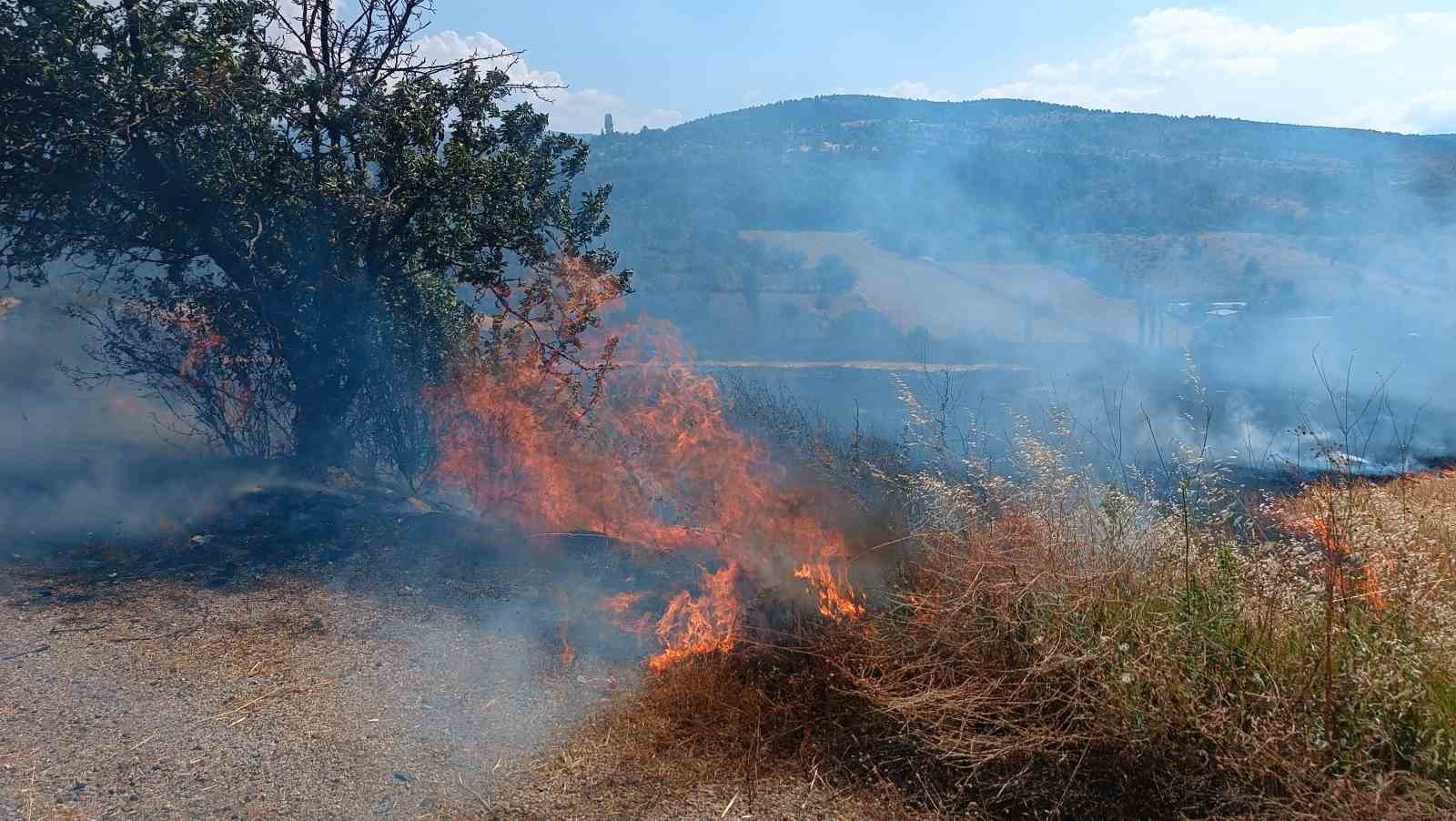 korkutan aniz yangini havadan ve karadan mudahaleyle kontrol altina alindi 2 CjdvPL2W