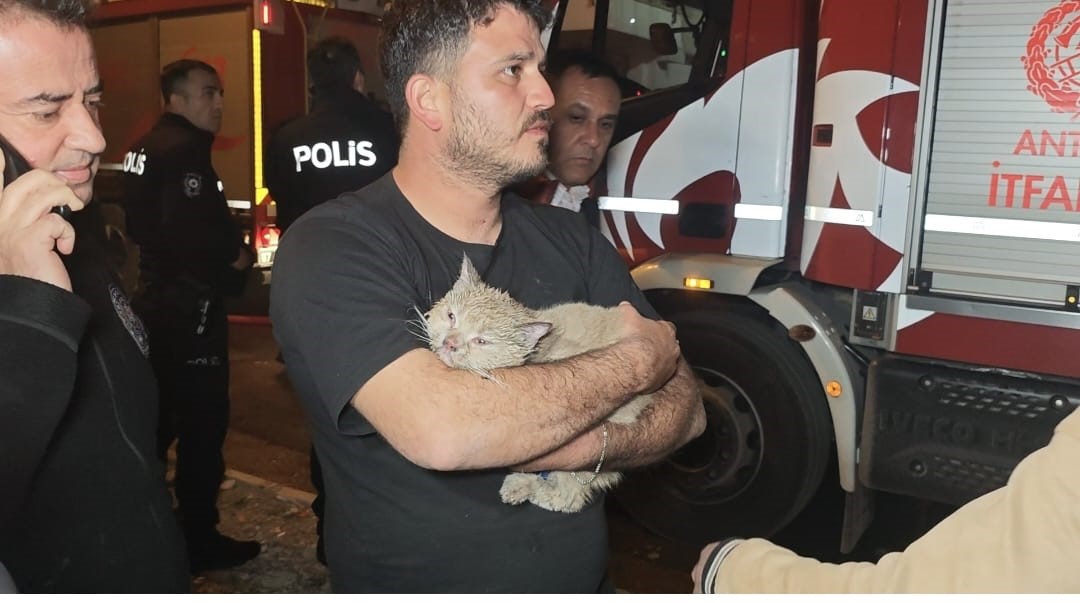korkutan yanginda mahsur kalan kediyi itfaiye kurtardi 0 zwEtC1ln