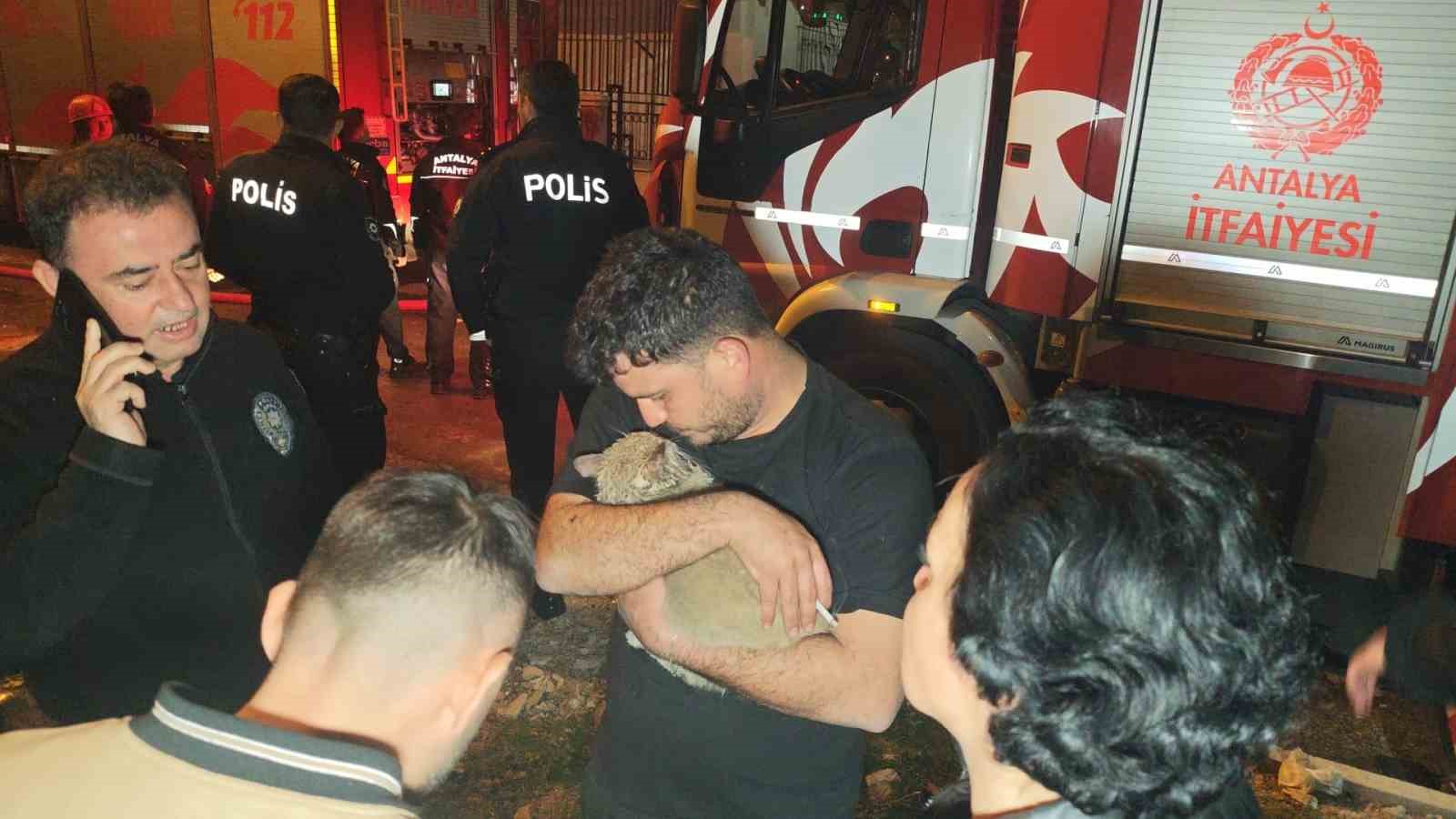 korkutan yanginda mahsur kalan kediyi itfaiye kurtardi 1 j5Zh2hA4